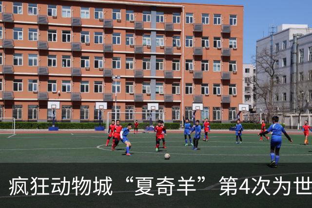 疯狂动物城“夏奇羊”第4次为世界杯开嗓，版税将全捐用于贫困儿童教育
